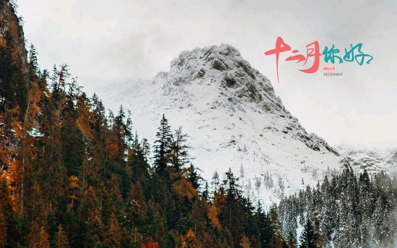 妙琪诵读/十二月（图5）