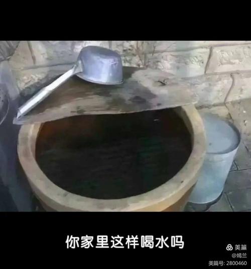 傅景华力作/靰鞡随想（图5）