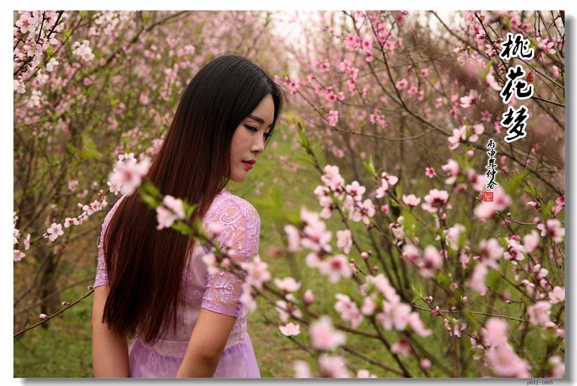 桃花梦 文/水云间