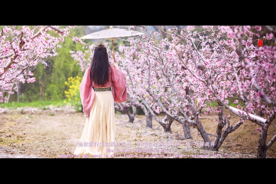 桃花梦 文/水云间（图3）