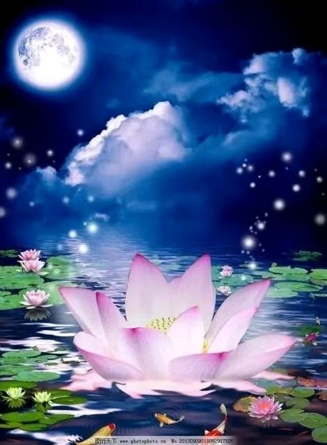纵使西风摧蝶梦,尚持玉节守枯禅。
