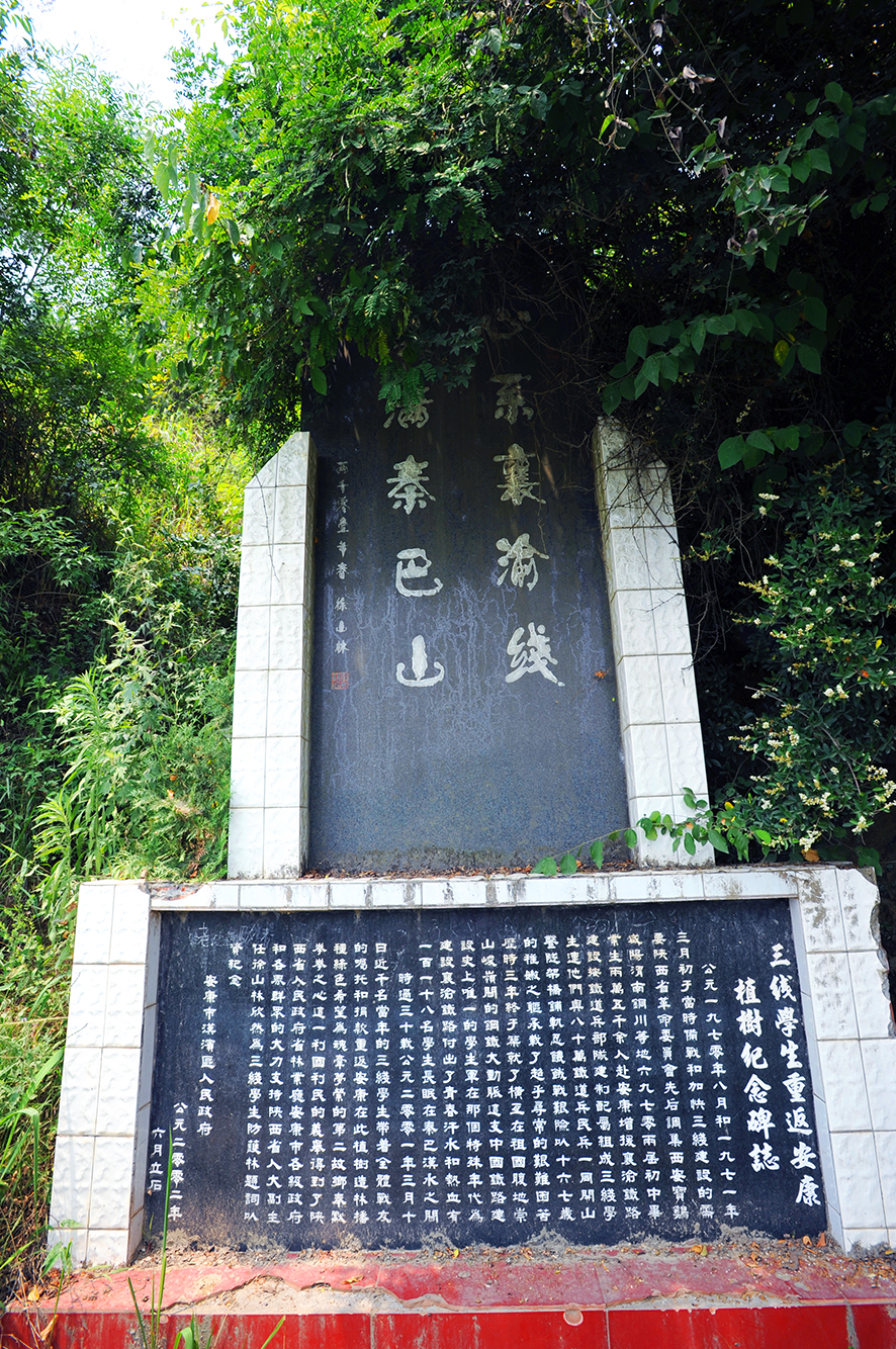 图片21 图片21