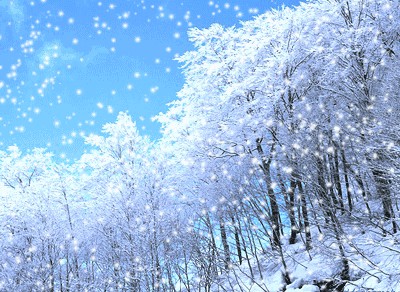 恬淡静雅朗诵【爱雪 念雪】作者/李京春(图3)