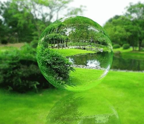 【新山东文学社】《山上的竹林》作者/春韵 主播/小小鸟（图3）