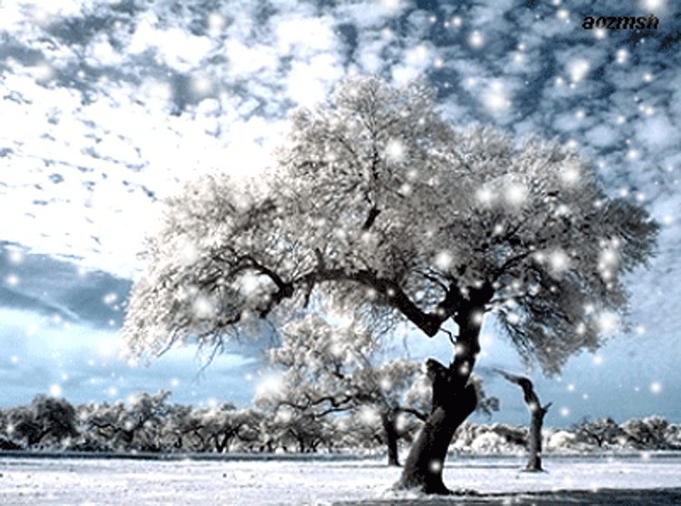 许宏朗诵【冬雪】作者/石志华（图2）