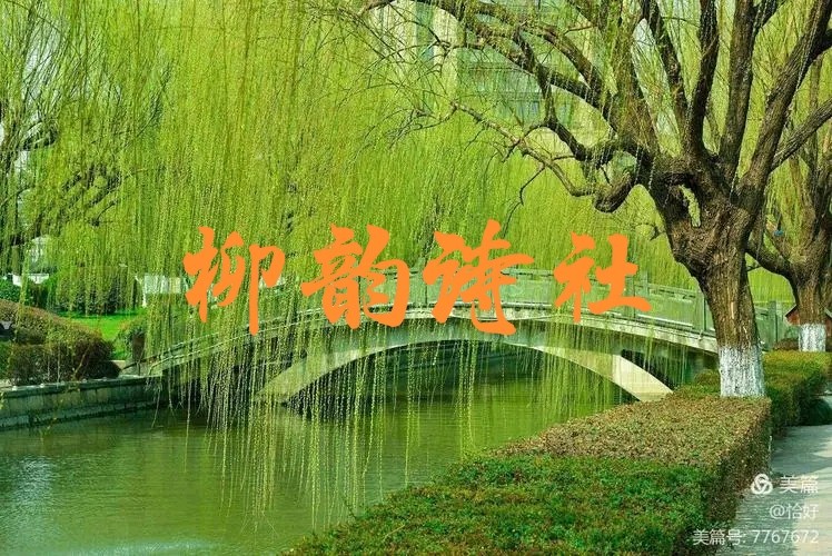 第八十四期 柳韵诗社每日古诗诵读(97)