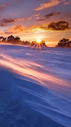 想 雪‖文图/赵京江（图13）