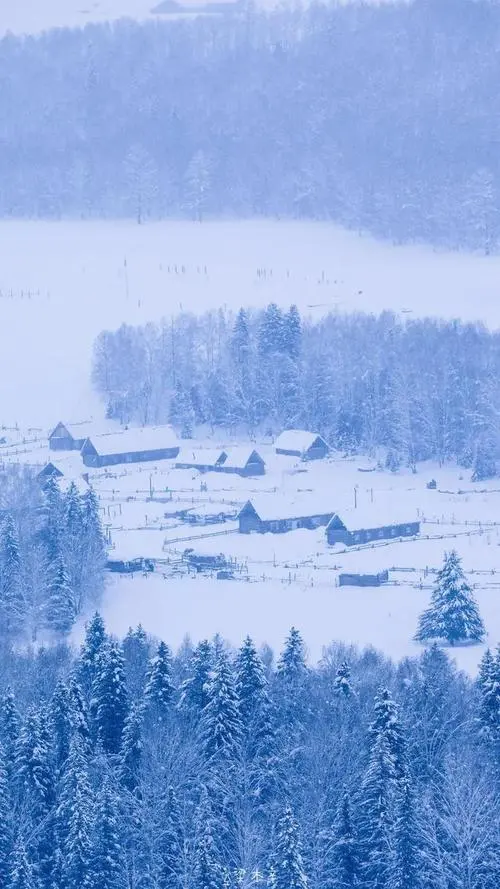 想 雪‖文图/赵京江（图11）