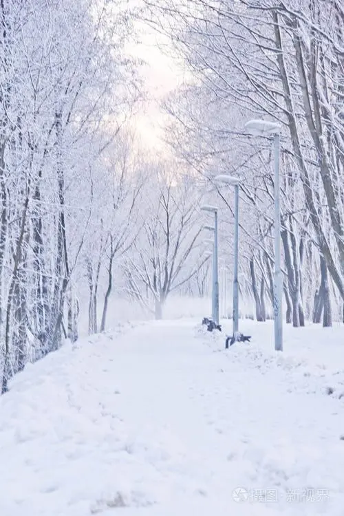 想 雪‖文图/赵京江（图9）