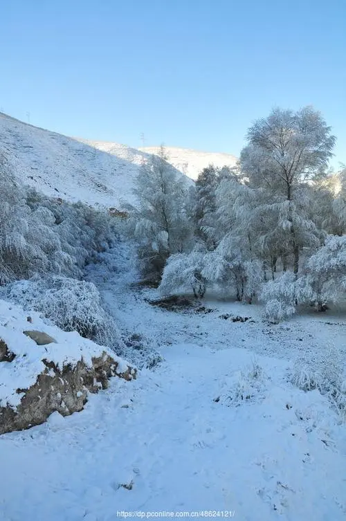 想 雪‖文图/赵京江（图10）