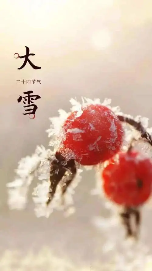想 雪‖文图/赵京江（图2）