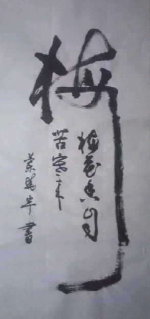 诗人蓝晓宇书法作品欣赏(1)（图10）