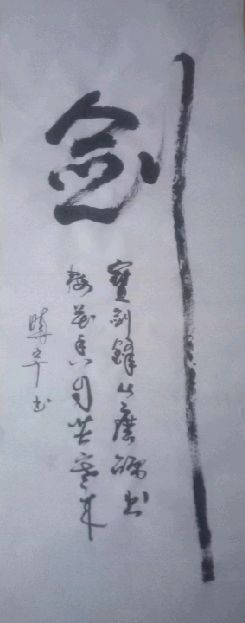 诗人蓝晓宇书法作品欣赏(1)（图11）