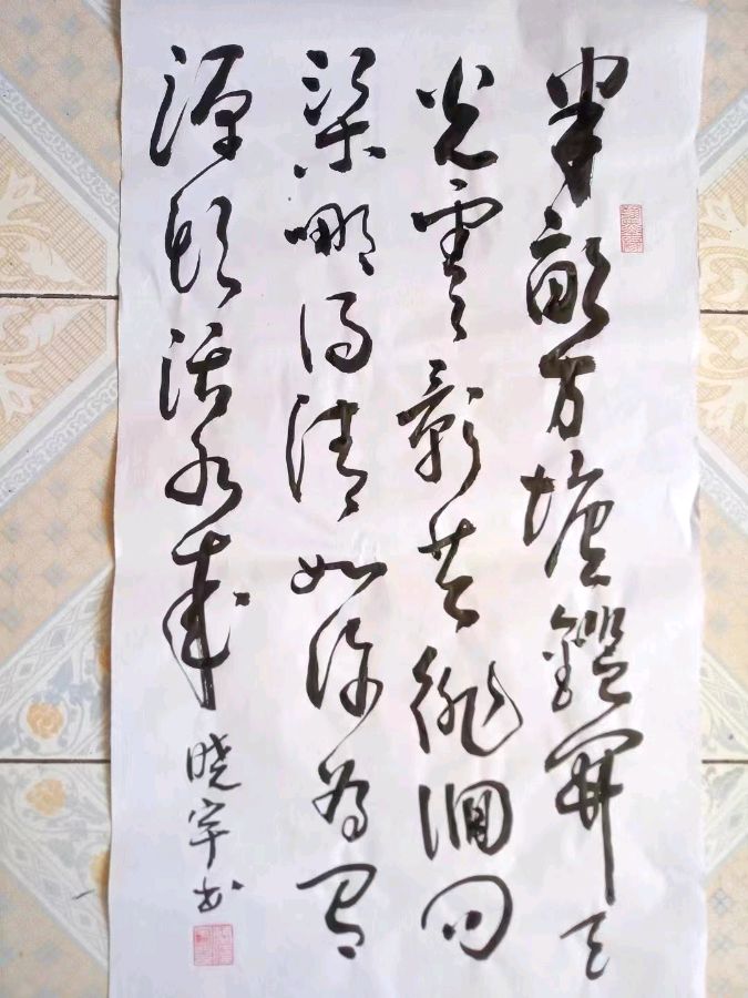 诗人蓝晓宇书法作品欣赏(1)（图13）