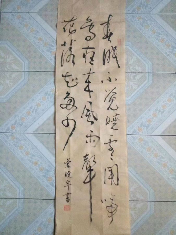 诗人蓝晓宇书法作品欣赏(1)（图16）