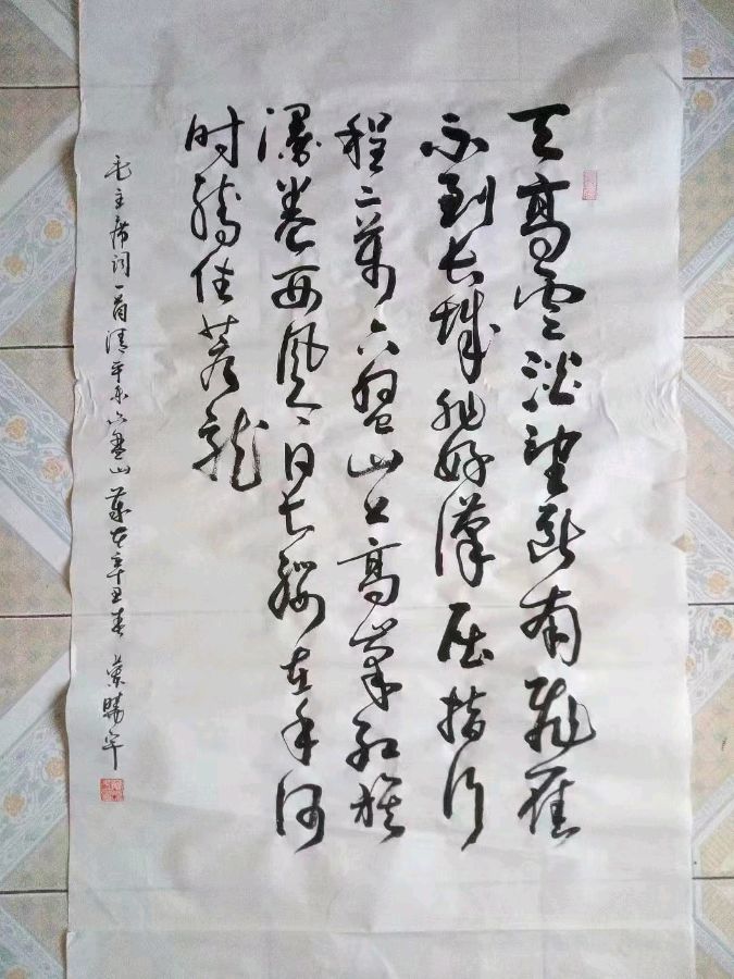 诗人蓝晓宇书法作品欣赏(1)（图18）