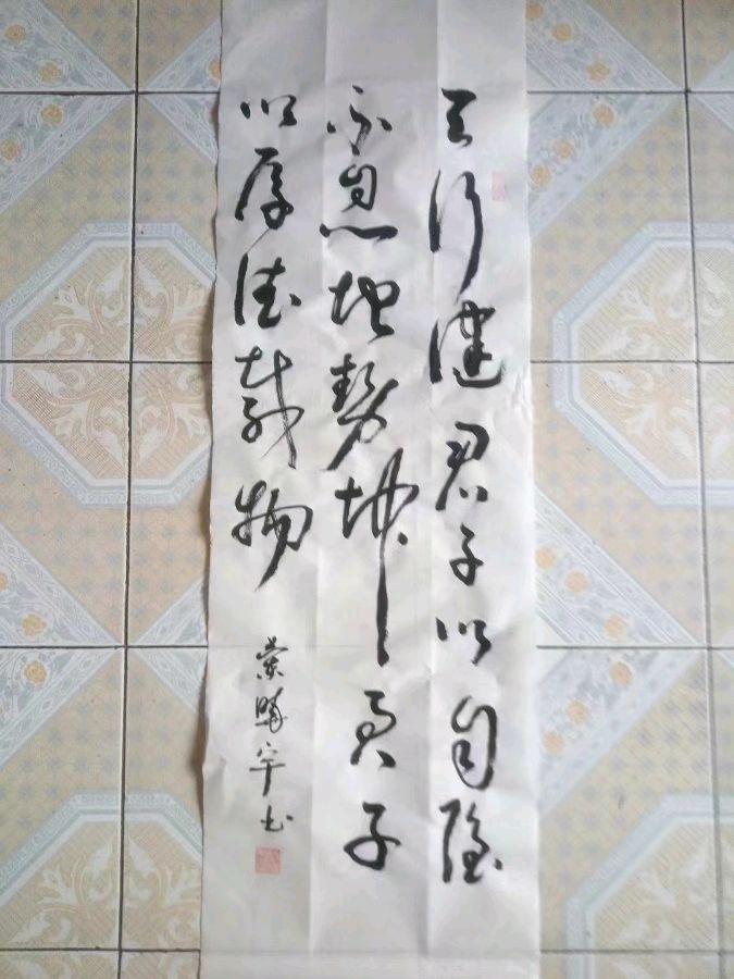 诗人蓝晓宇书法作品欣赏(1)（图19）