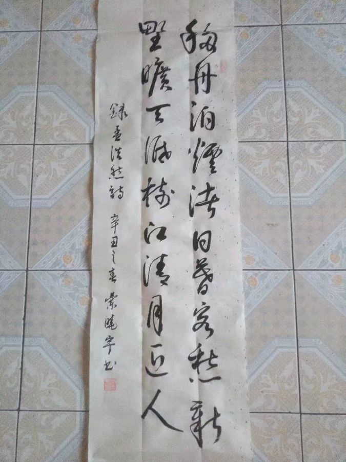 诗人蓝晓宇书法作品欣赏(1)（图23）