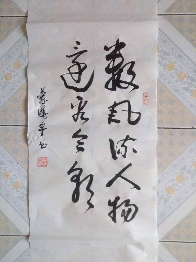 诗人蓝晓宇书法作品欣赏(1)（图24）
