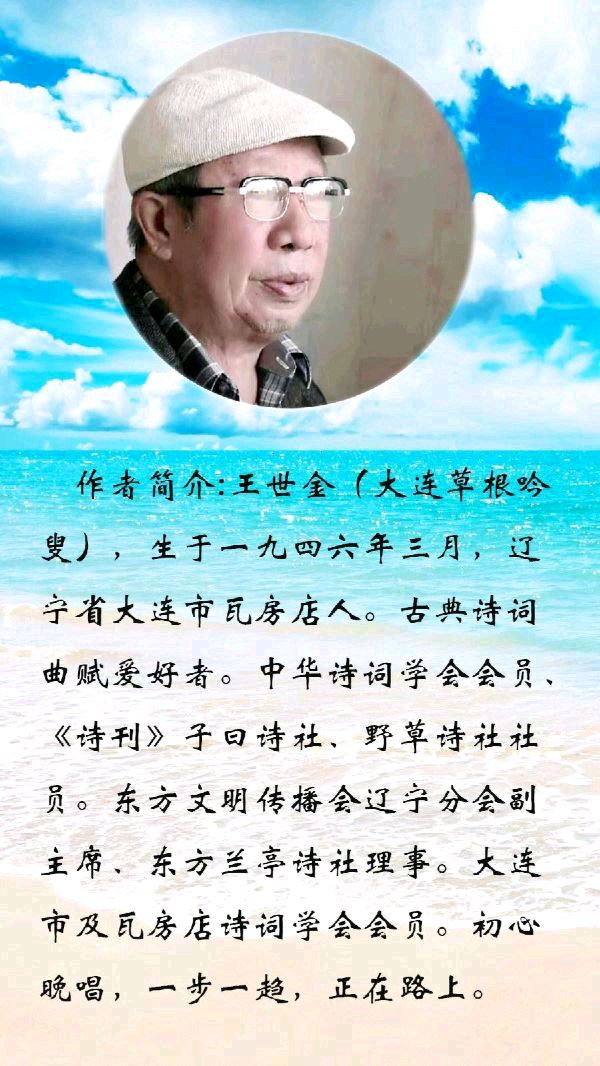 中华诗艺社黑龙江分社推介/王世金:静思二首(外一首)(图4)