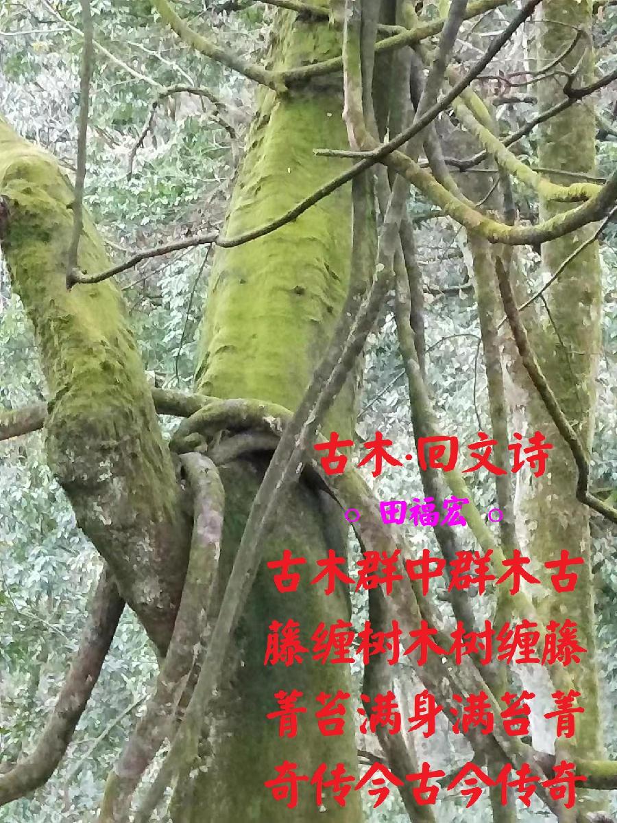 rt4