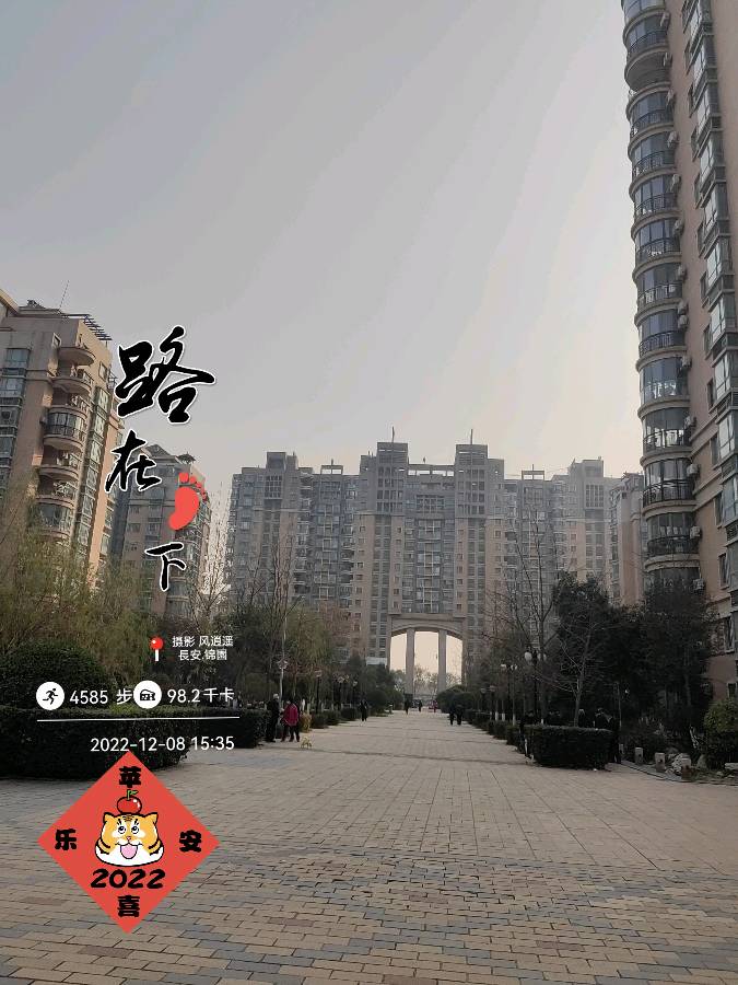 【美摄·漫生活集锦】（第一集）（图4）