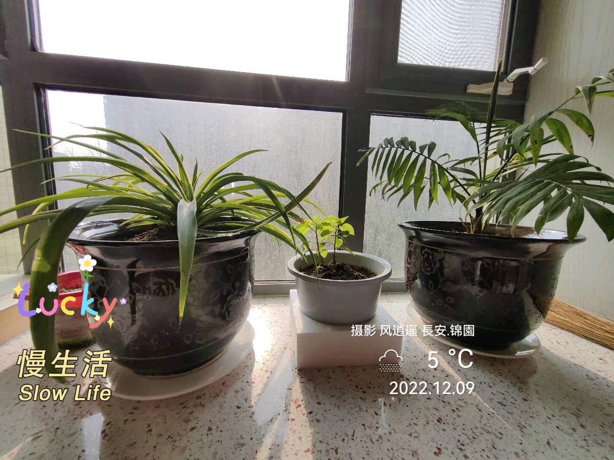 【美摄·漫生活集锦】（第一集）（图6）