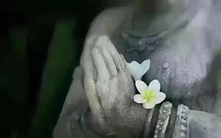 【长音频】Tinna Tình《Medicine Buddha》：心之良药曾浩珉 天籁之音 202（图4）