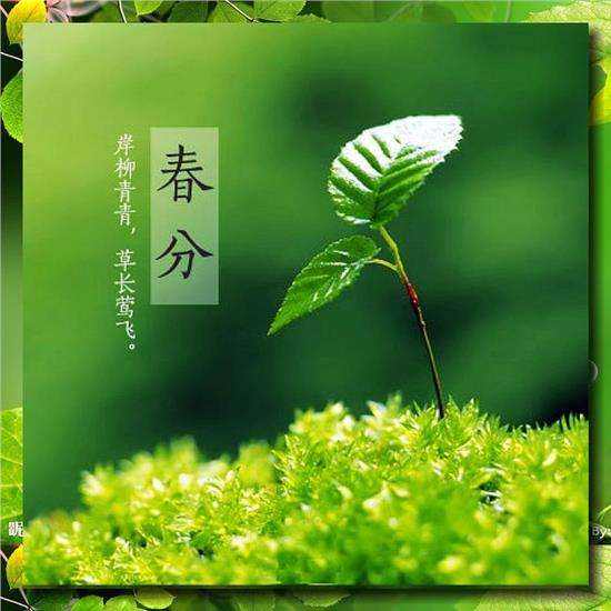 ◼️ 不要问我为什么／萧水金（图5）