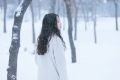 【名家美诗】七律•冬雪美(100首)文/画屏墨语