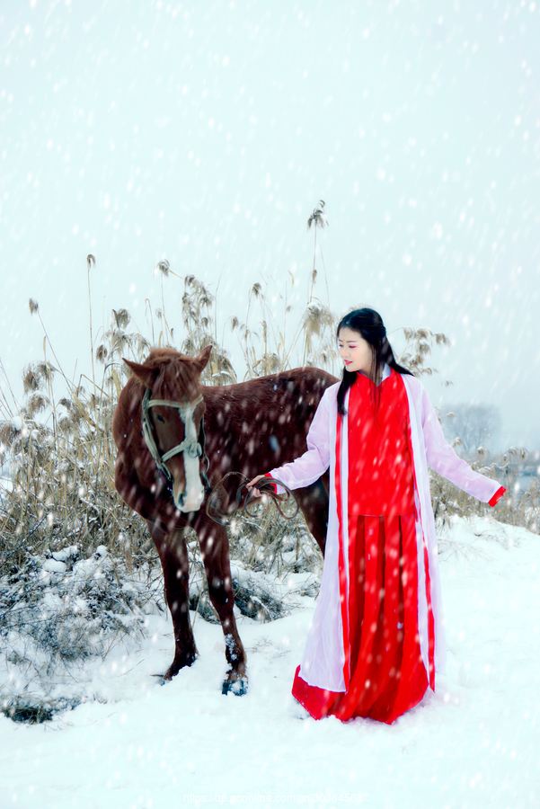 【名家美诗】七律•冬雪美(100首)文/画屏墨语(图6)