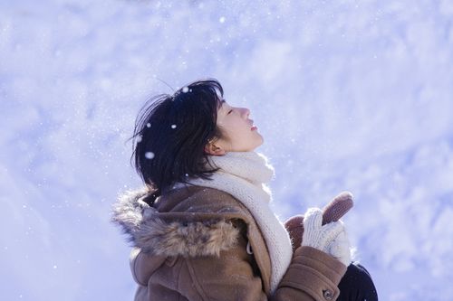 【名家美诗】七律•冬雪美(100首)文/画屏墨语(图5)