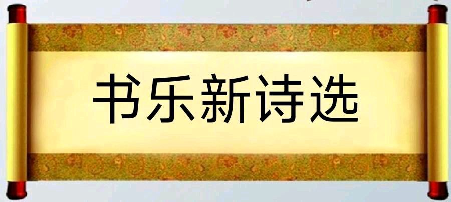 中华诗艺社黑龙江分社推介/书乐新诗选(四)（图3）