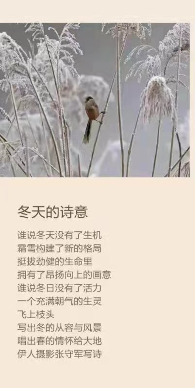 【雅诗总会】张守军诗书画瓷一览(图8)