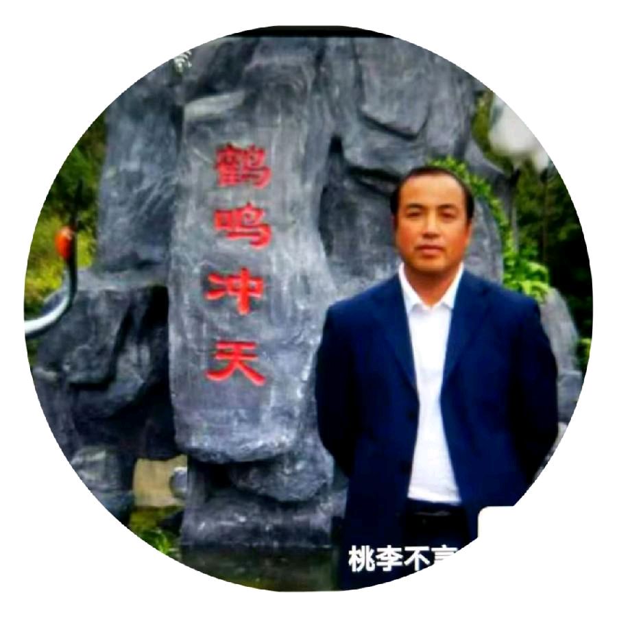中华诗艺社黑龙江分社推介/桃李不言(戴海波):原创《大雪掩埋不住的乡情》(外一首)