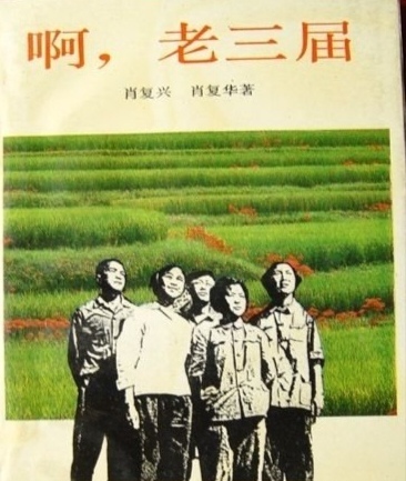 冷月诗歌《逝去的青春》主播：傲雪红梅 编辑：小鱼儿 【北疆头条】（第369期）（图4）