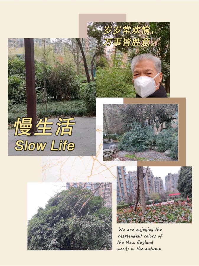 【美摄·漫生活集锦】（第三集）（图7）