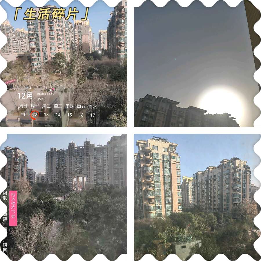 【美摄·漫生活集锦】（第四集）（图2）