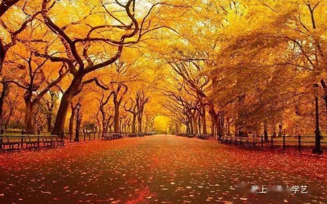 水晶朗诵【致敬新时代的英雄】作者/黄赞高（图7）