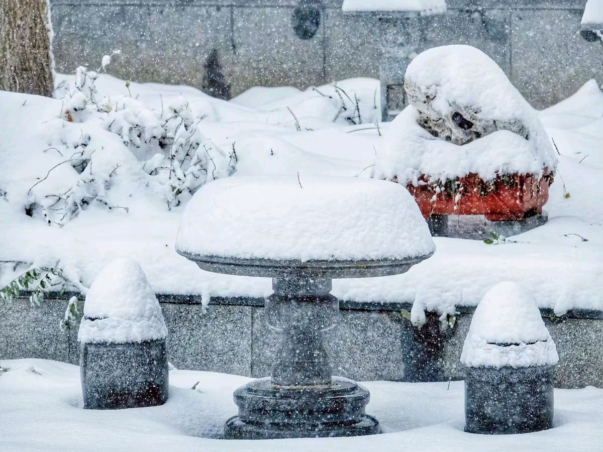 中华诗艺社黑龙江分社推介/雪山飞狐:白雪·冬趣（图6）