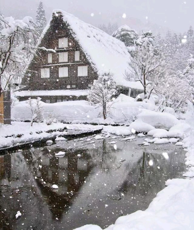 中华诗艺社黑龙江分社推介/雪山飞狐:白雪·冬趣（图12）