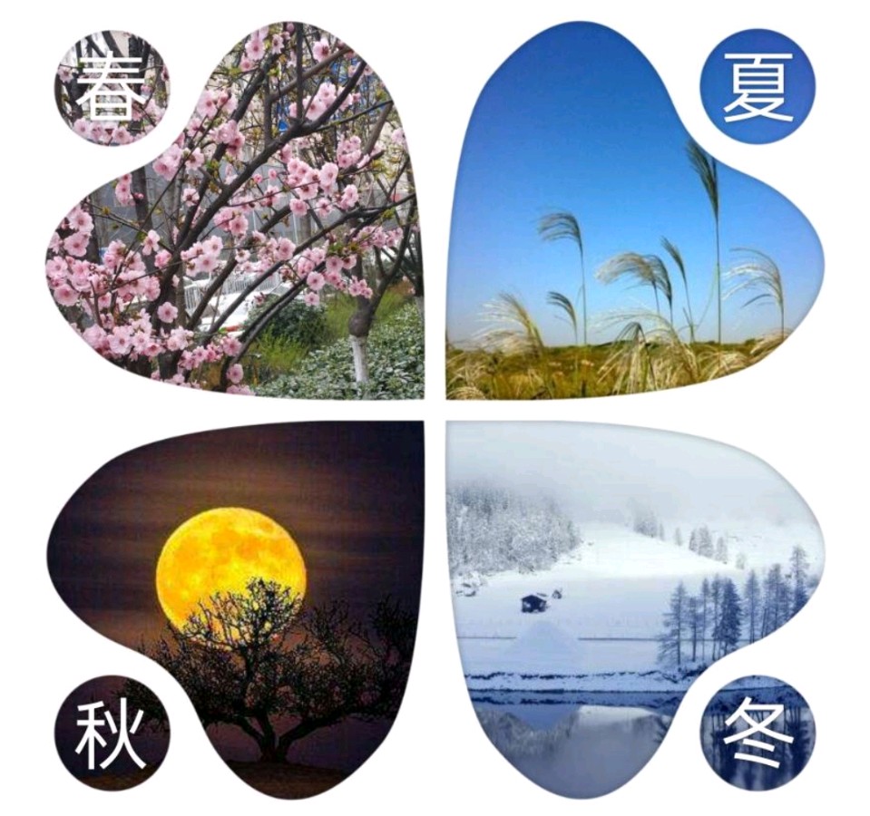 【美摄·漫生活集锦】（第五集）（图2）