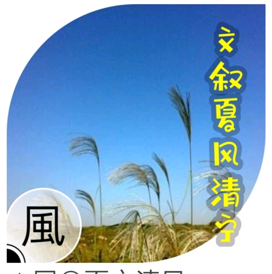 【美摄·漫生活集锦】（第五集）（图4）