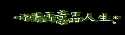 【美摄·漫生活集锦】（第五集）（图7）