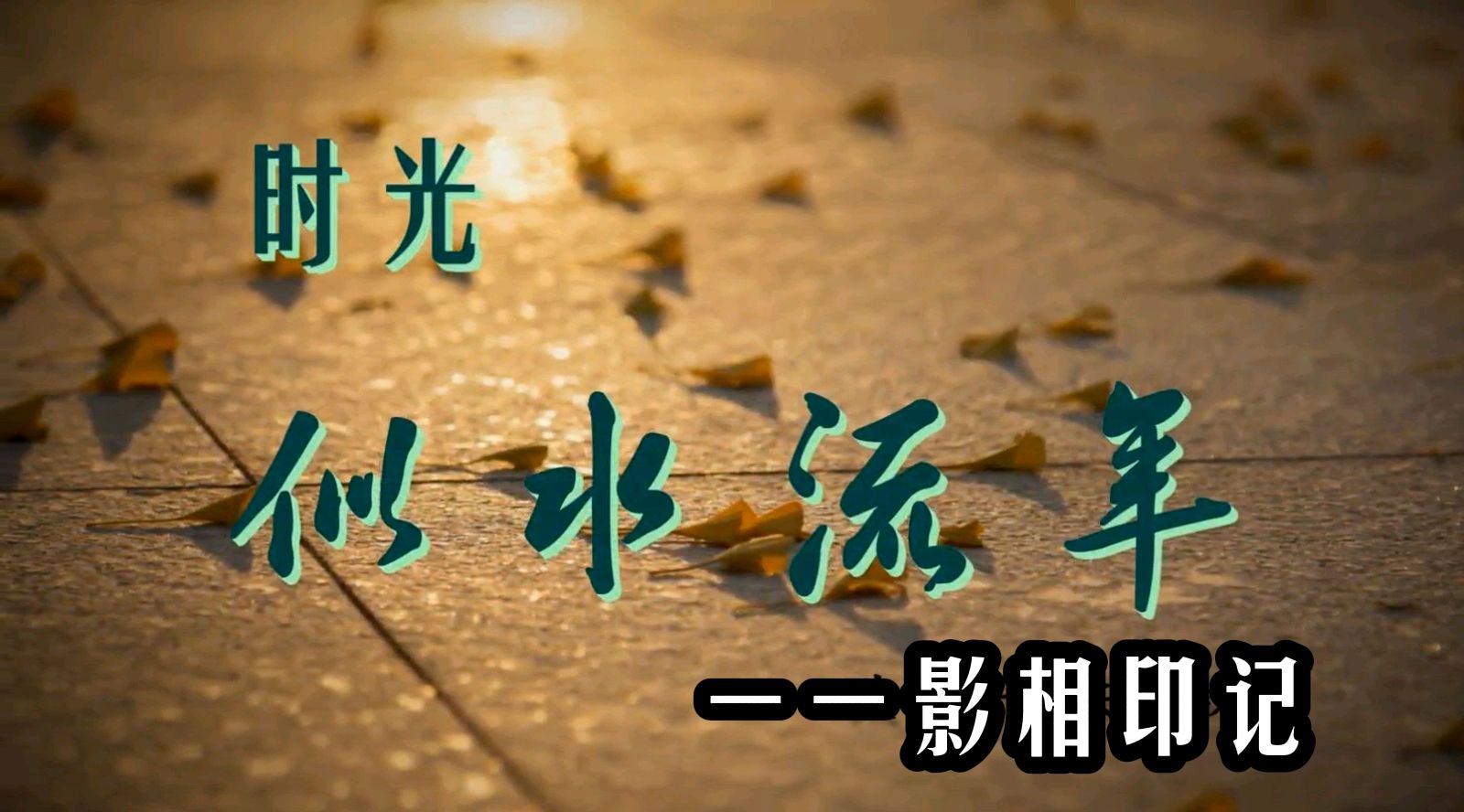 【美摄·漫生活集锦】（第五集）（图8）