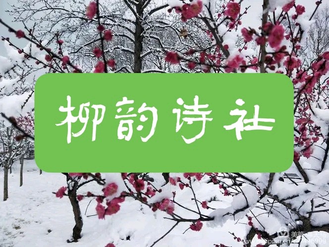 第八十九期 柳韵诗社每日古诗诵读(102)