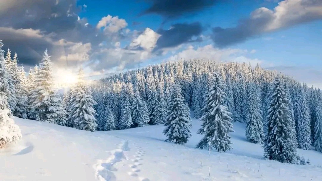 中华诗艺社黑龙江分社推介/刘耀南:七律·大雪（图4）