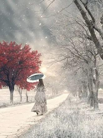 西风朗诵【飘飞的雪】作者/六月荷（图5）