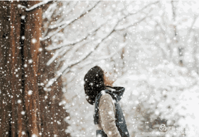 【新山东文学社】《梦，在一片雪花里醒来》作者/农夫 主播/星空（图5）