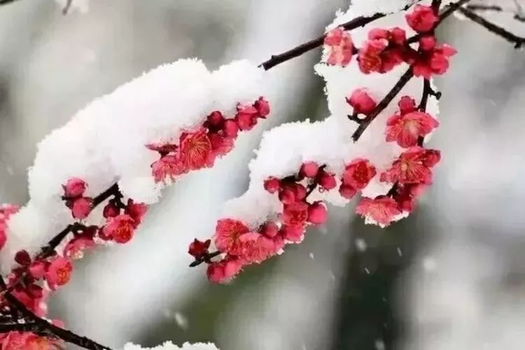 【都市头条向幸福出发编辑部】第687期 伴 文 如月